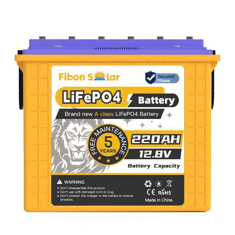 Image for Fibon 2560Wh 25.6V 100Ah LiFePO4 Lithium Battery with 100A BMS - 5000 Cycle Life